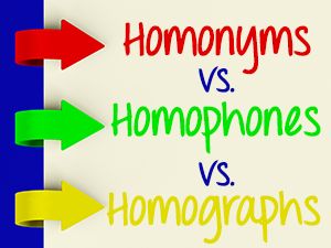 homographs homophones homonym grammar quiz quizizz