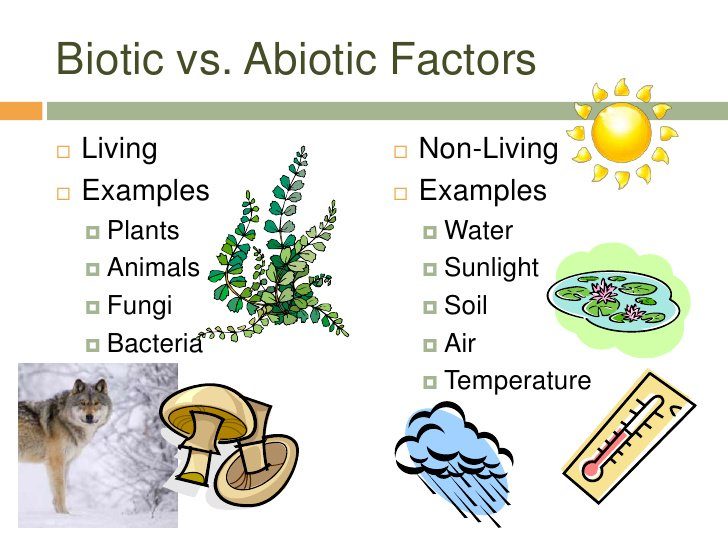 Biotic Vs Abiotic Factors | Science - Quizizz