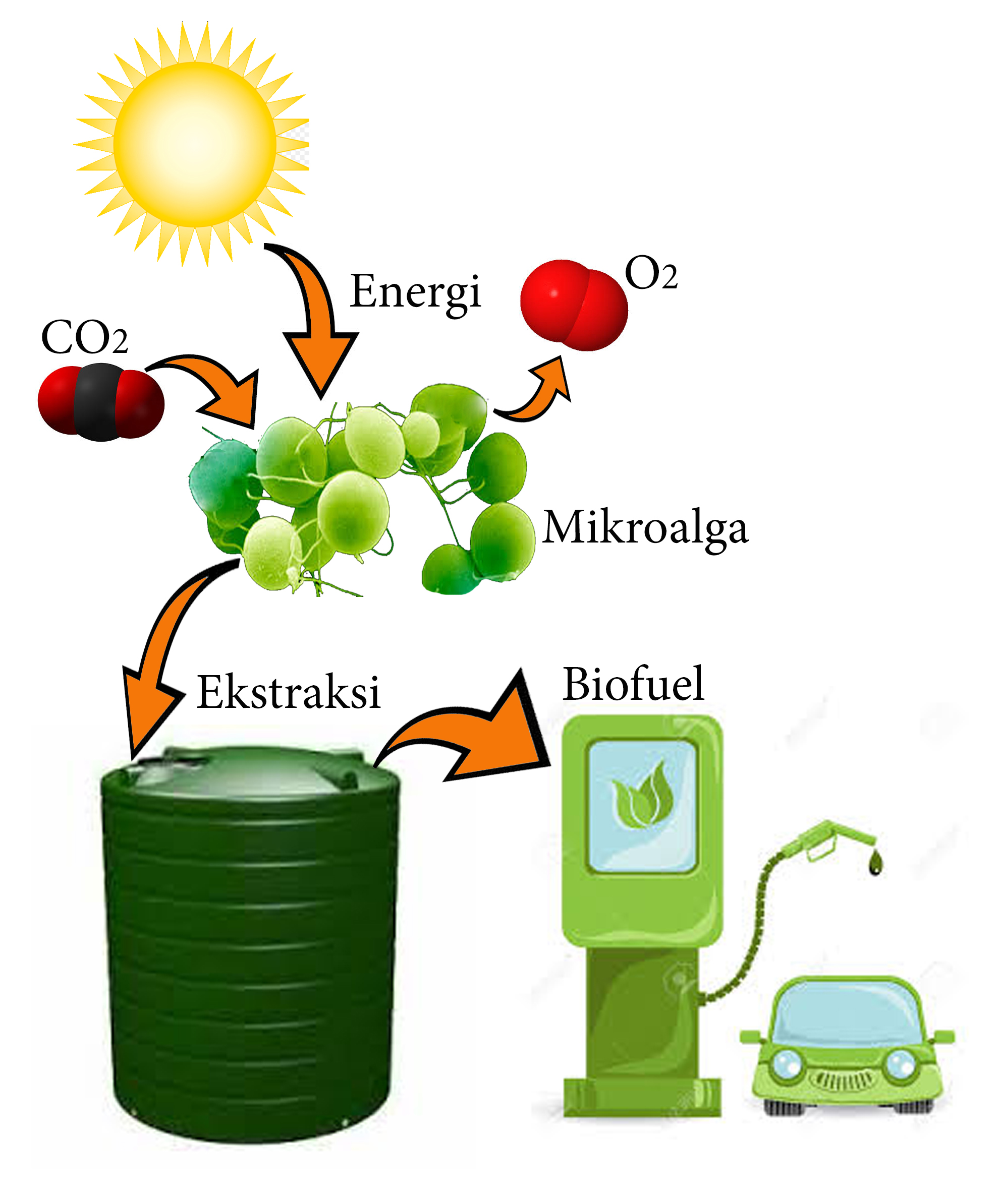 Alternatif pengganti biodiesel merupakan energi √ SUMBER