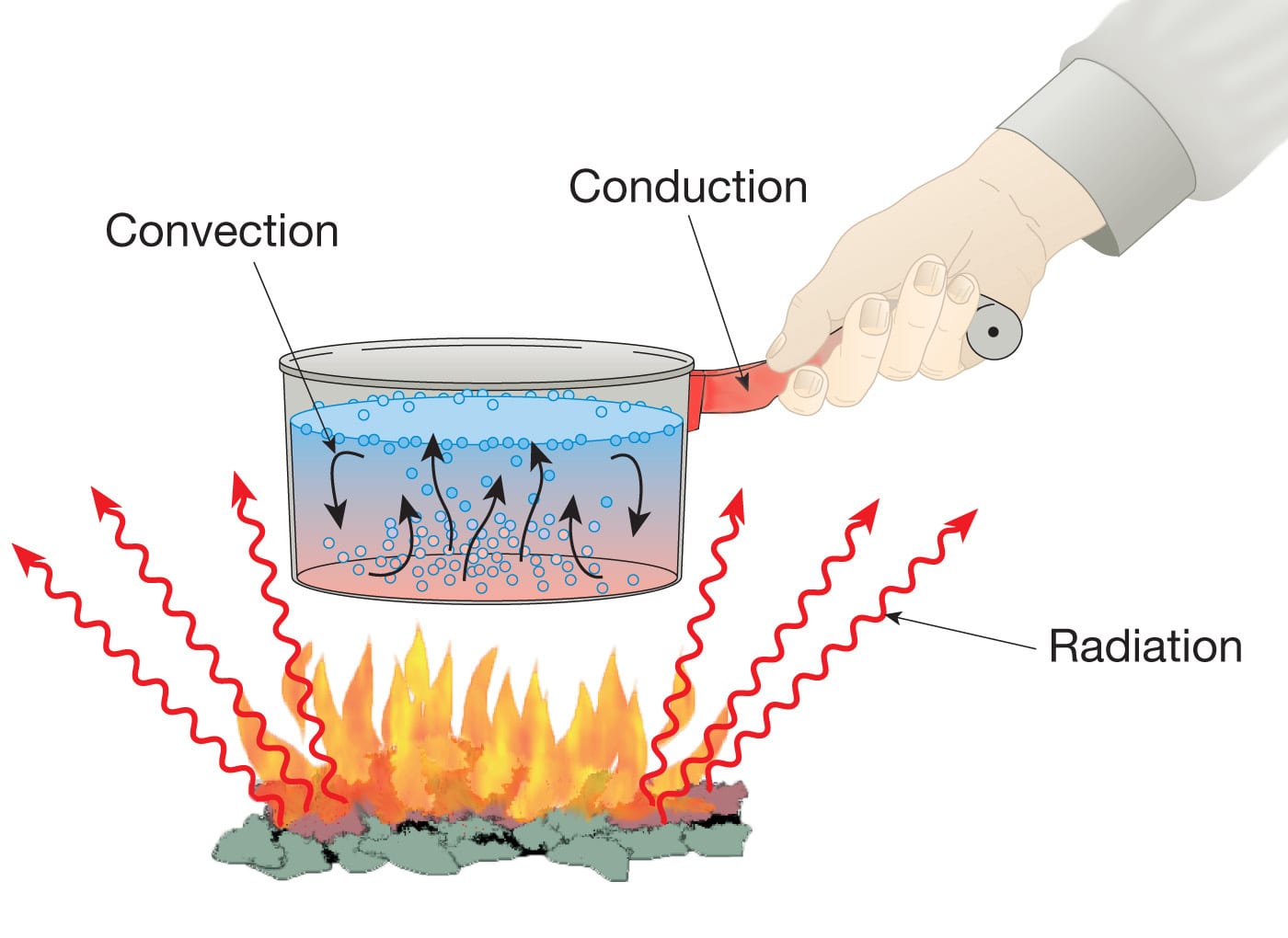 heat transfer and thermal equilibrium - Year 4 - Quizizz