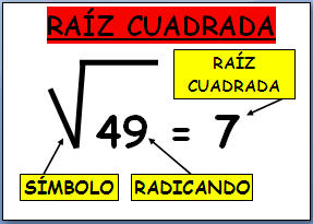 cuadrados de punnett - Grado 1 - Quizizz