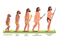 evolution and the tree of life - Class 3 - Quizizz