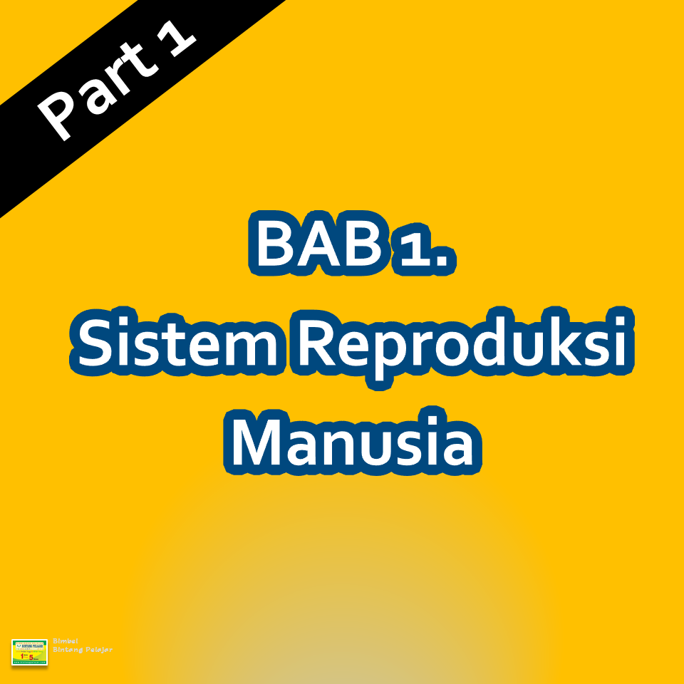 Bab 1 Part 1 Sistem Reproduksi Manusia Pembelahan Sel 55 Memainkan