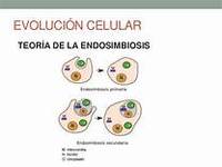 procesos endotérmicos y exotérmicos - Grado 6 - Quizizz