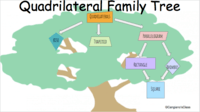 Quadrilaterals - Class 6 - Quizizz