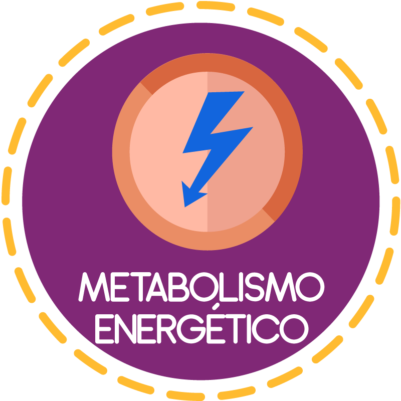 metabolismo - Série 10 - Questionário