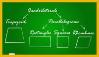 Quadrilaterals - Class 9 - Quizizz