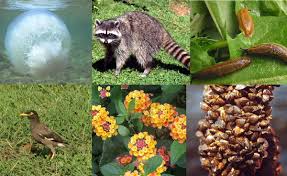 توفير الغذاء قيمة اقتصادية مباشرة للمحافظة على التنوع الحيوي