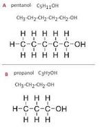 Chemia organiczna - Klasa 12 - Quiz