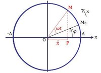 cầu và độ co giãn của giá - Lớp 11 - Quizizz