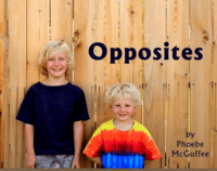 Identifying Opposites Flashcards - Quizizz