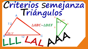 semejanza - Grado 10 - Quizizz