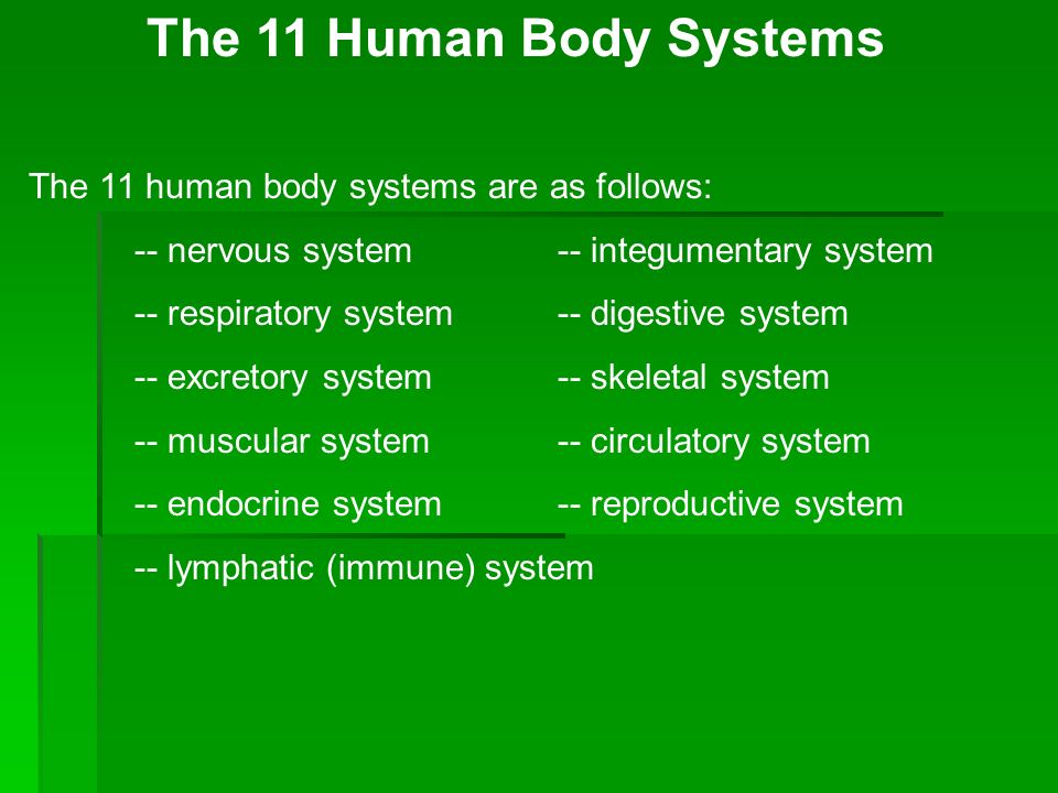 systems-of-your-body-quiz-quizizz