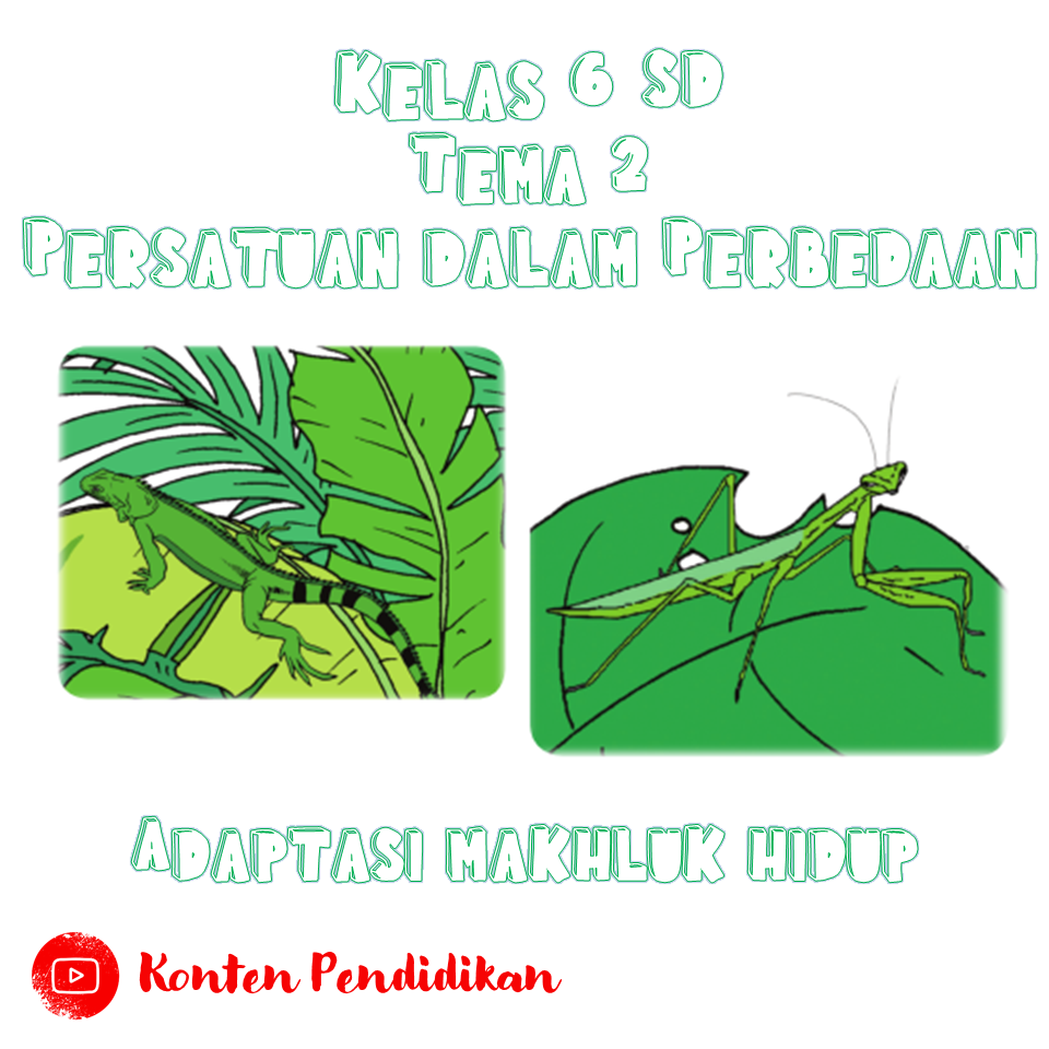 adaptasi hewan - Kelas 3 - Kuis