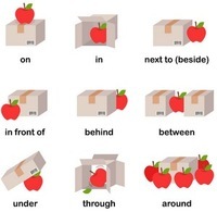 Prepositional Phrases - Grade 9 - Quizizz