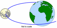 newtons law of gravitation - Class 12 - Quizizz