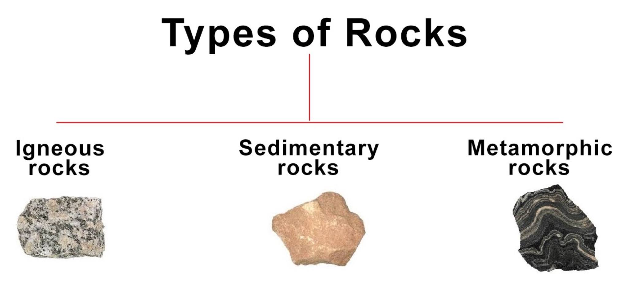 Rock Cycle | Science Quiz - Quizizz