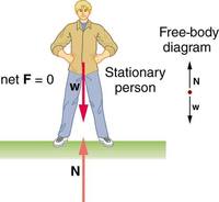 Forces and Equilibrium