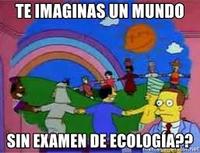 ecología - Grado 4 - Quizizz