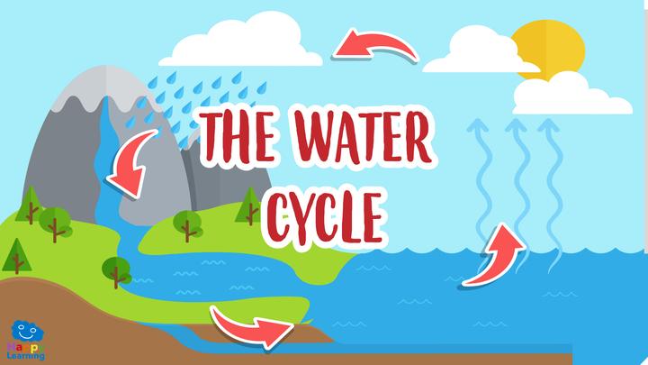 Water Cycle | Quizizz