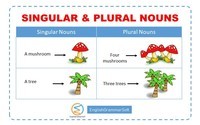 Plural Nouns Flashcards - Quizizz