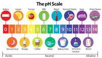 Scaled Pictographs - Grade 10 - Quizizz