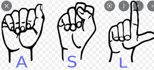 Sign Language - Class 7 - Quizizz