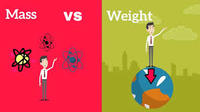 Comparing Weight - Year 7 - Quizizz