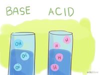 acid base reactions - Year 6 - Quizizz