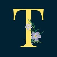 The Letter T - Year 2 - Quizizz