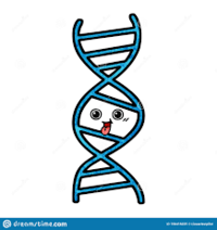 Struktura i replikacja DNA - Klasa 12 - Quiz