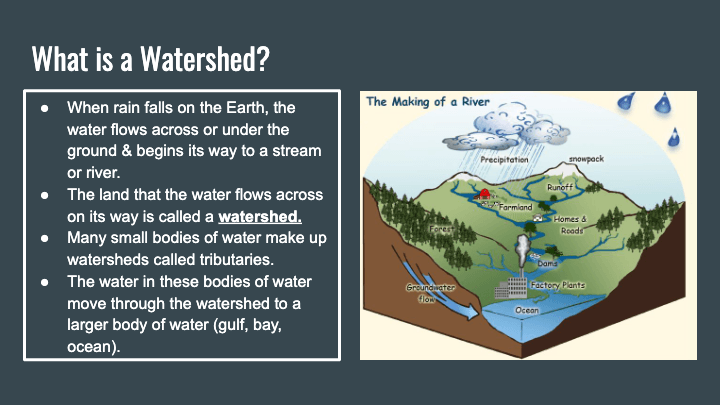 va-resources-what-s-a-watershed-science-quizizz