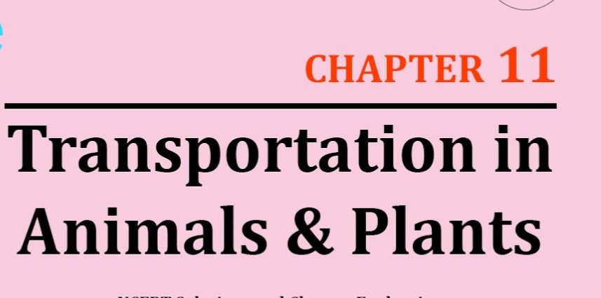 Ch_11. Transportation in Animals and Plants _Class 7