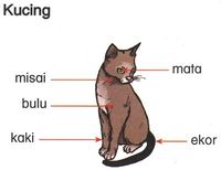 Bagian Kerucut - Kelas 3 - Kuis