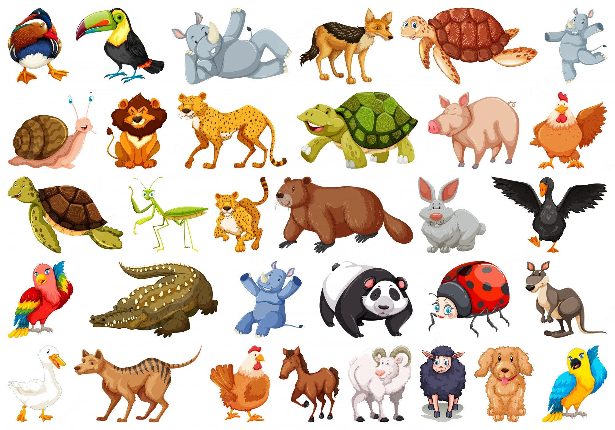 animal adaptations - Year 12 - Quizizz