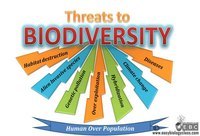 biodiversity and conservation - Class 7 - Quizizz