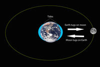 centripetal force and gravitation - Grade 8 - Quizizz