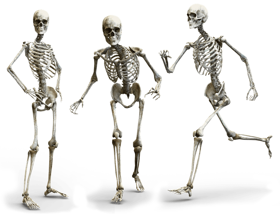 bones-science-quiz-quizizz