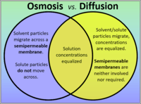 osmosis y tonicidad - Grado 7 - Quizizz