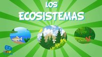 ecossistemas - Série 12 - Questionário