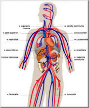 atmospheric circulation and weather systems Flashcards - Quizizz