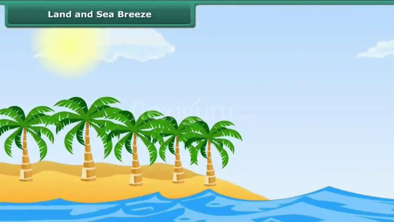 sea and land breezes animation