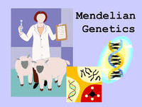 genetics Flashcards - Quizizz