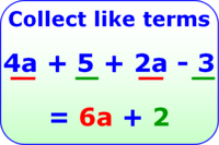 Algebra - Class 6 - Quizizz