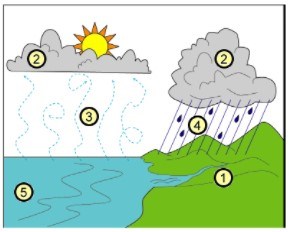 Weather And Climate | Quizizz