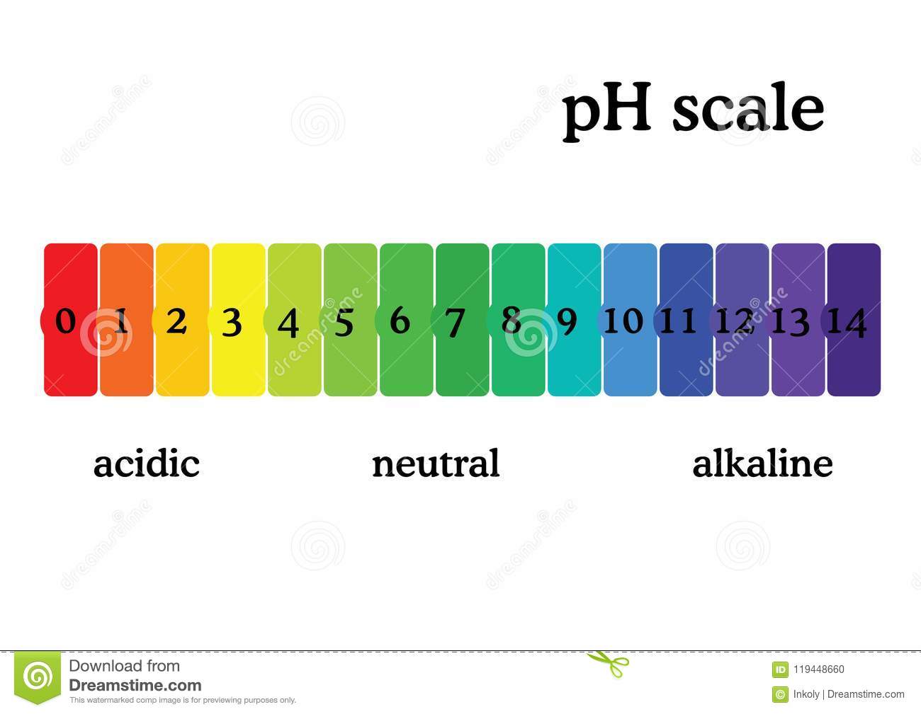 Acids And Alkalis Indicators 