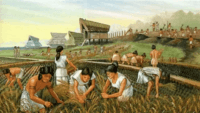 Chapter 3 - Early Humans and Agricultural Revolution