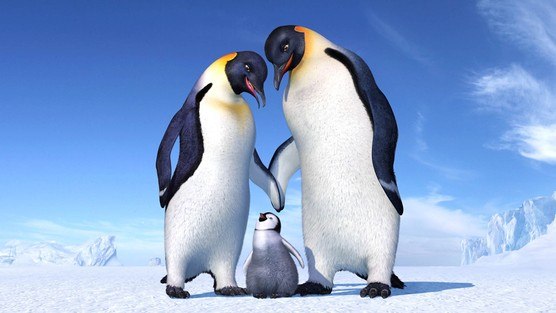 Happy Feet Quiz