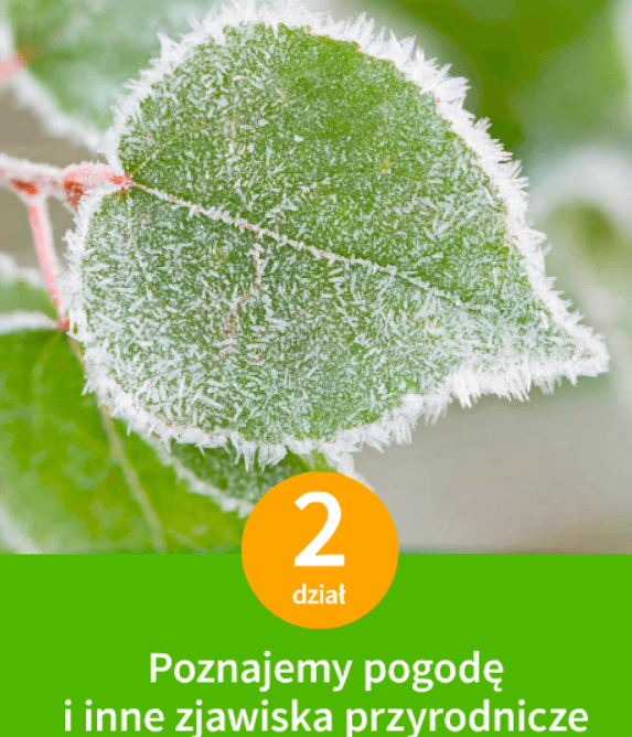 Pogoda i pory roku - Klasa 4 - Quiz