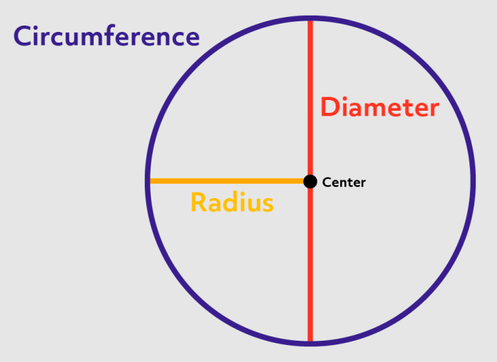 May 12-G8.6 Circle Area | Mathematics - Quizizz